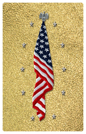 DNSHERT C 421 SH GD Flag at Rest Shimmer Gold